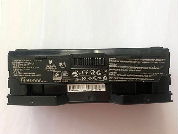 MSI BTY-L79