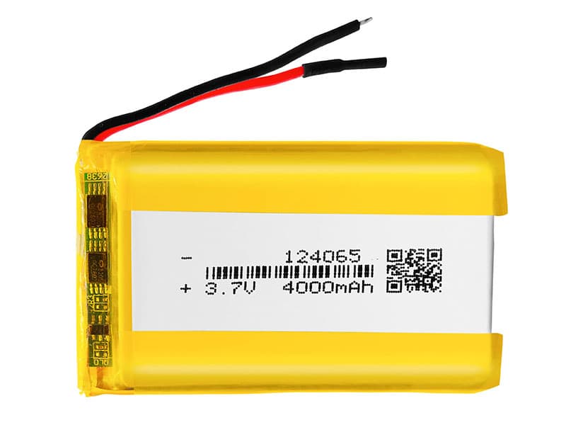 XINNUAN 124065 Batería