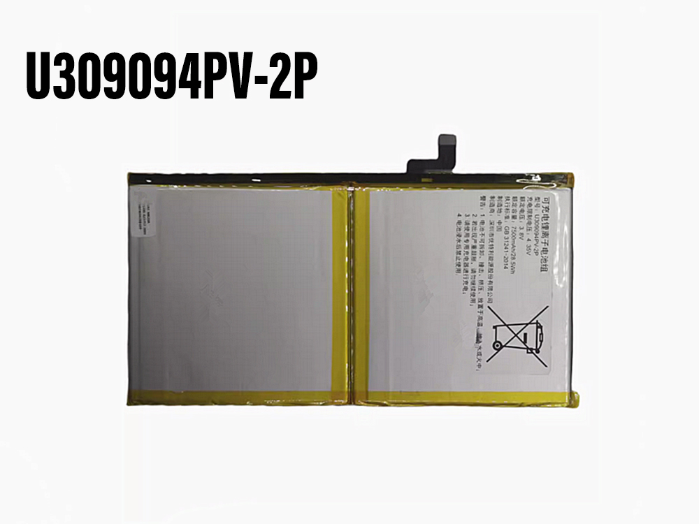 OTHER U309094PV-2P Batería